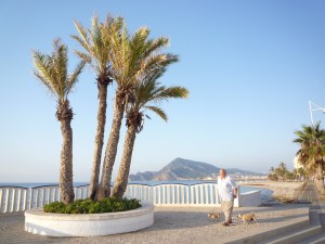 Spansk hundbajshuligan Spansk hundbajshuligan